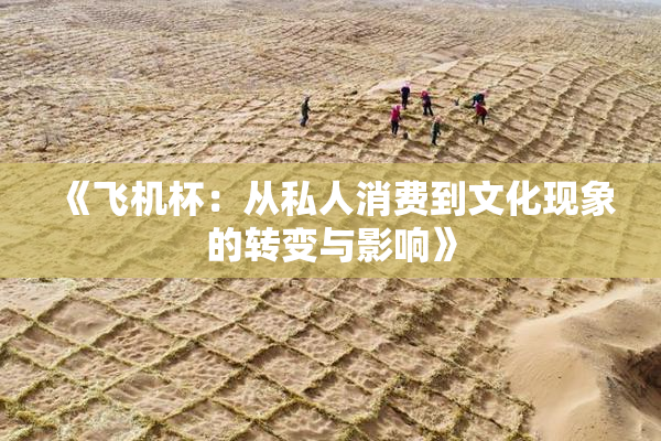《飞机杯：从私人消费到文化现象的转变与影响》
