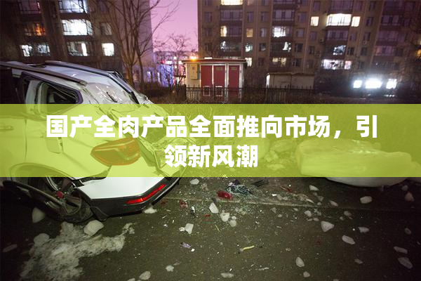国产全肉产品全面推向市场，引领新风潮