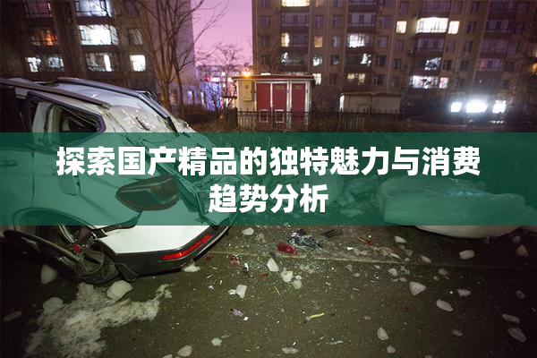 探索国产精品的独特魅力与消费趋势分析