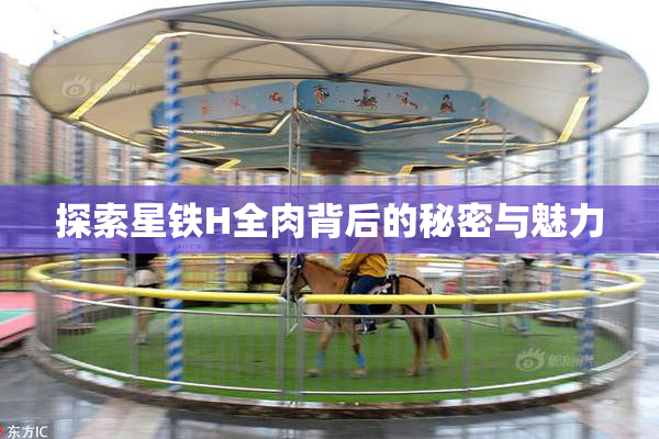 探索星铁H全肉背后的秘密与魅力