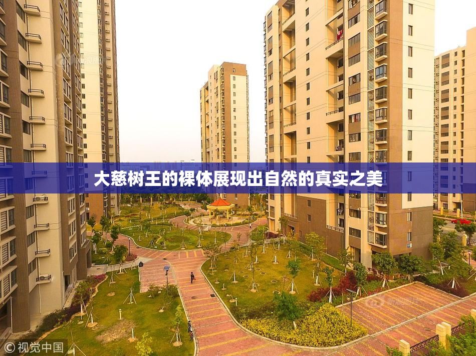 大慈树王的裸体展现出自然的真实之美