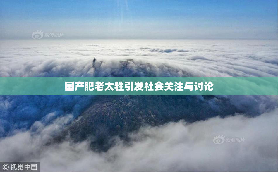 国产肥老太牲引发社会关注与讨论