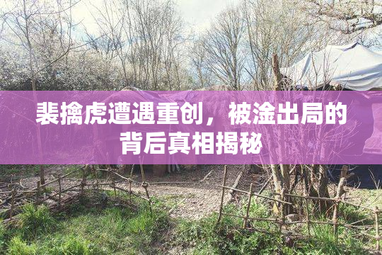 裴擒虎遭遇重创，被淦出局的背后真相揭秘