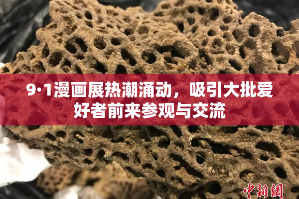 9·1漫画展热潮涌动，吸引大批爱好者前来参观与交流