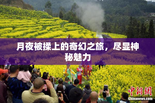 月夜被揉上的奇幻之旅，尽显神秘魅力