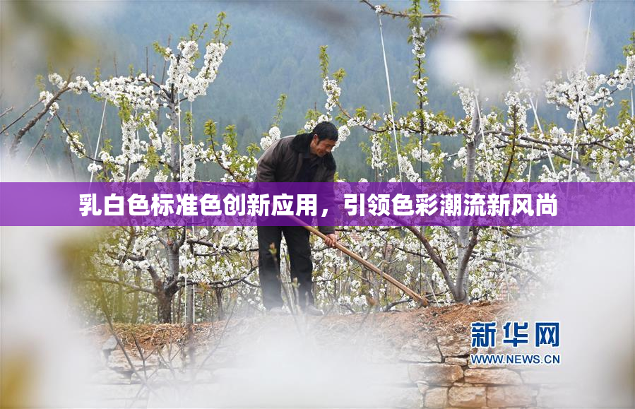 乳白色标准色创新应用，引领色彩潮流新风尚