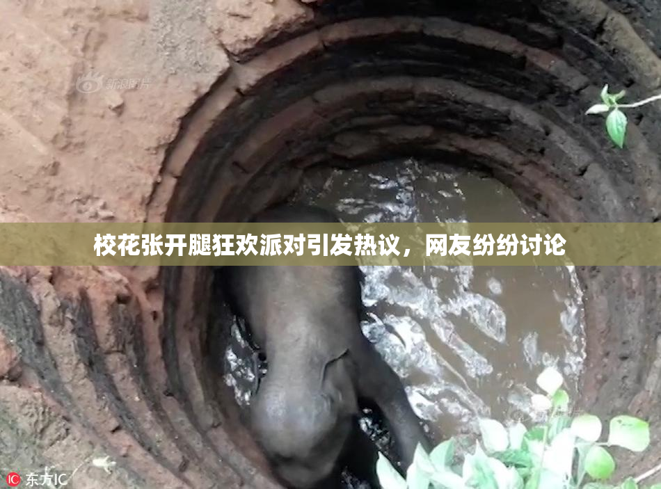 校花张开腿狂欢派对引发热议，网友纷纷讨论