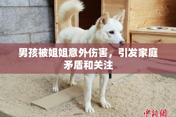 男孩被姐姐意外伤害，引发家庭矛盾和关注