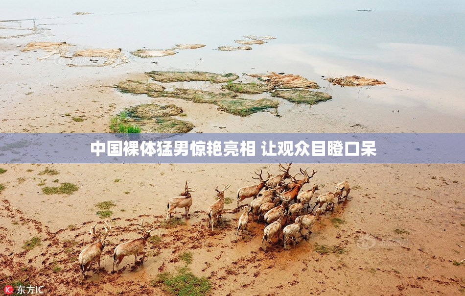 中国裸体猛男惊艳亮相 让观众目瞪口呆