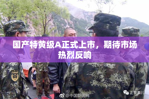 国产特黄级A正式上市，期待市场热烈反响