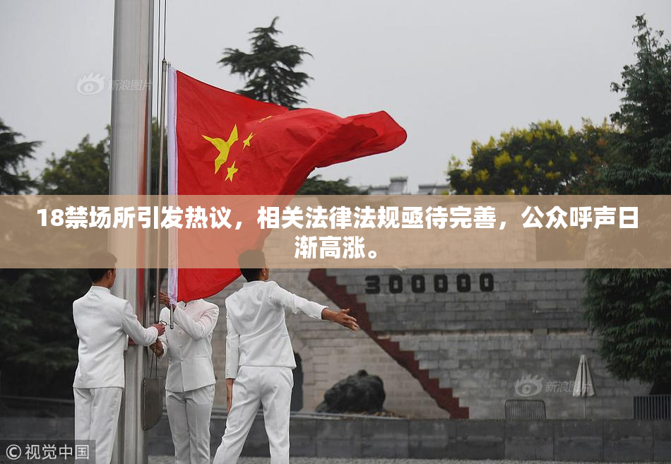 18禁场所引发热议，相关法律法规亟待完善，公众呼声日渐高涨。