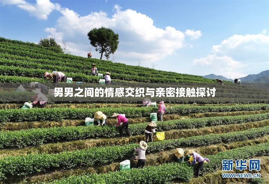 男男之间的情感交织与亲密接触探讨
