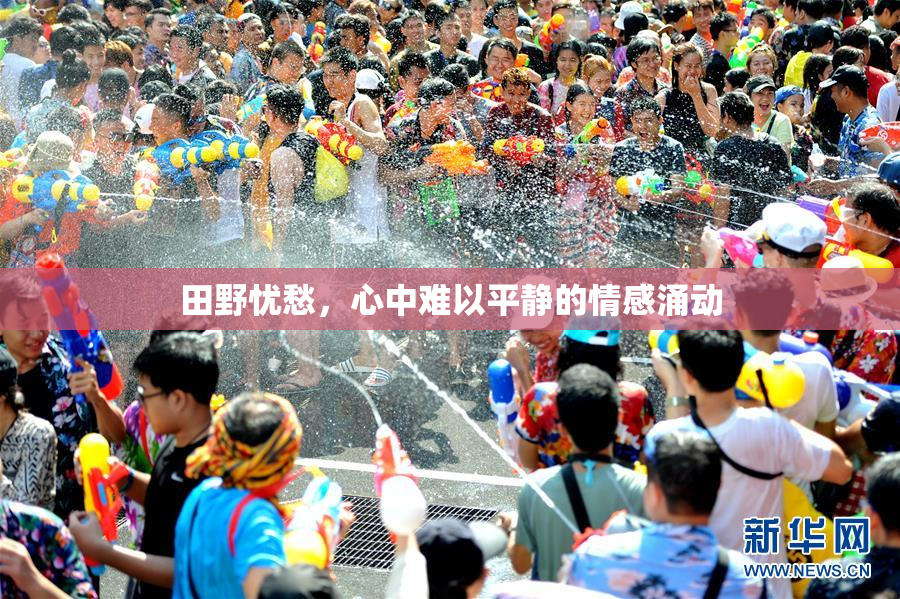 田野忧愁，心中难以平静的情感涌动