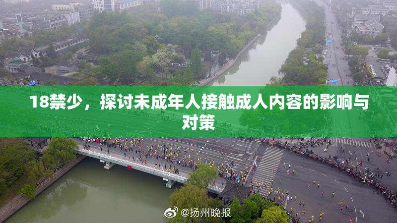18禁少，探讨未成年人接触成人内容的影响与对策