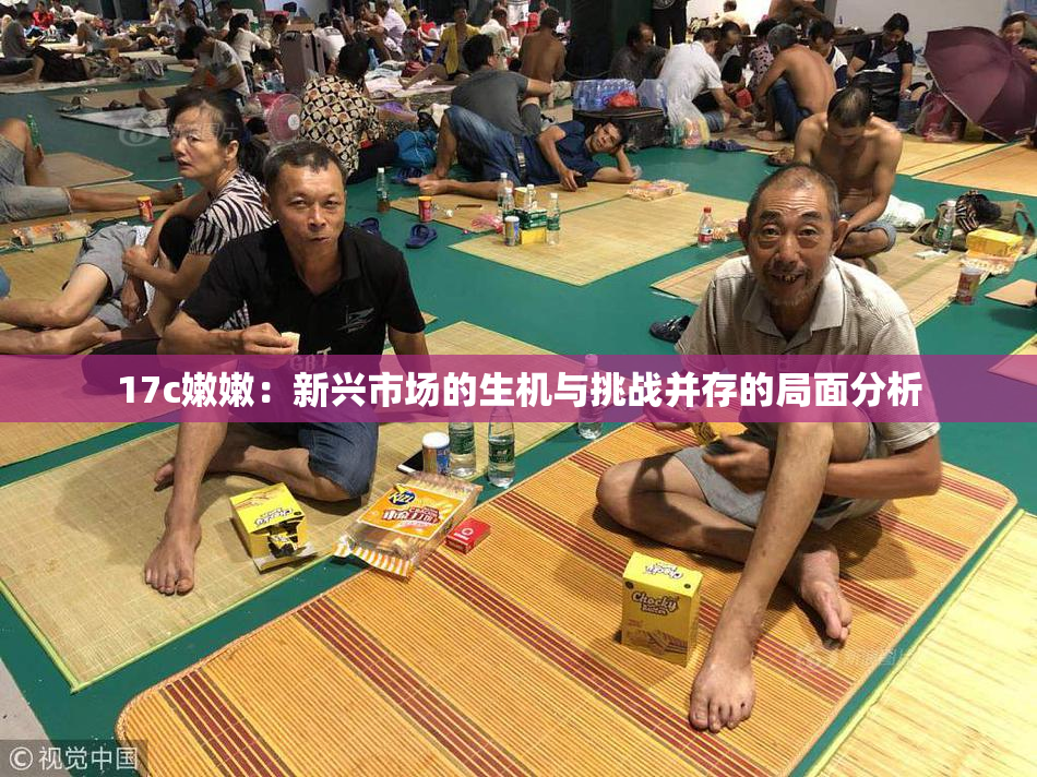17c嫩嫩：新兴市场的生机与挑战并存的局面分析