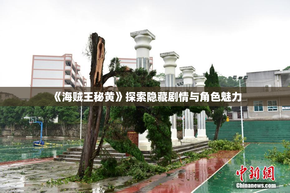 《海贼王秘黄》探索隐藏剧情与角色魅力