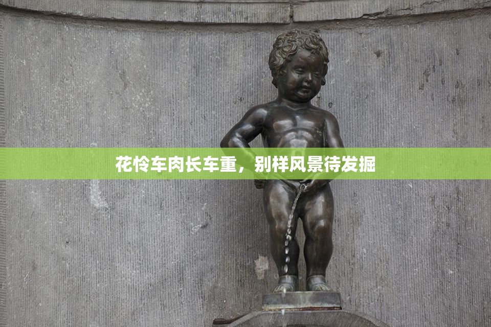花怜车肉长车重，别样风景待发掘