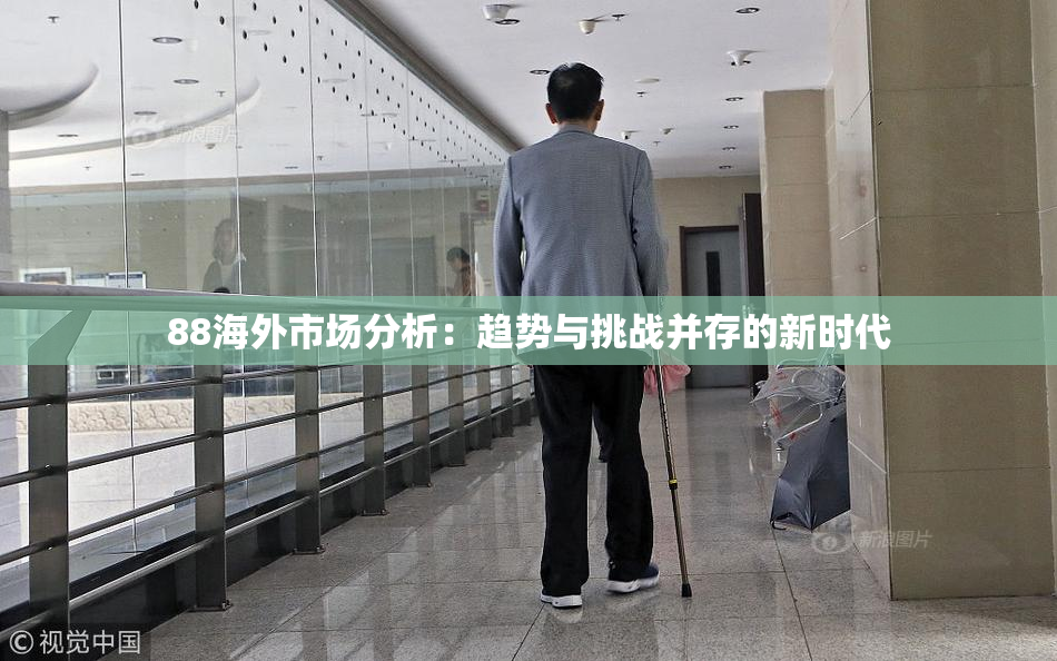 88海外市场分析：趋势与挑战并存的新时代