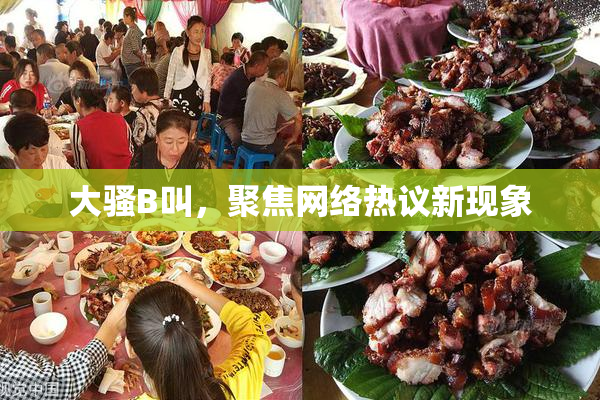 大骚B叫，聚焦网络热议新现象