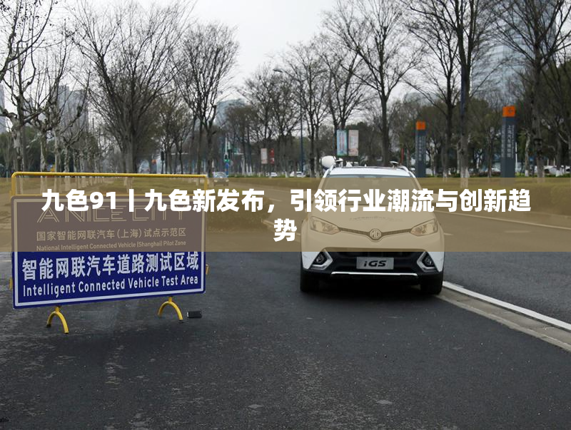 九色91丨九色新发布，引领行业潮流与创新趋势