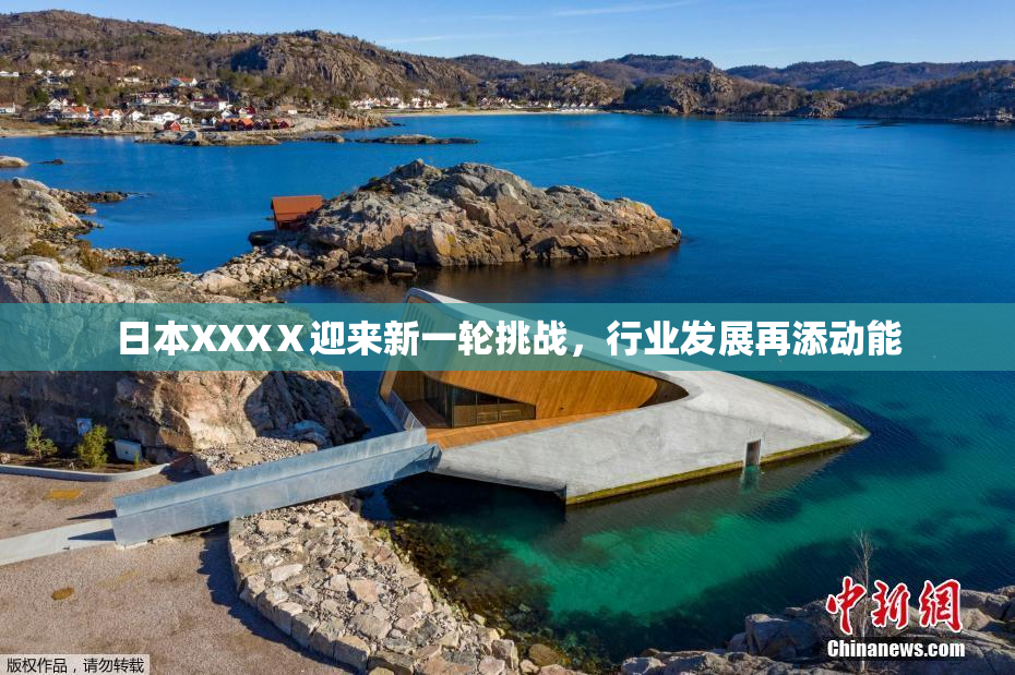 日本XXXⅩ迎来新一轮挑战，行业发展再添动能