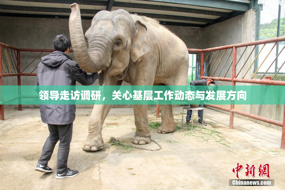 领导走访调研，关心基层工作动态与发展方向