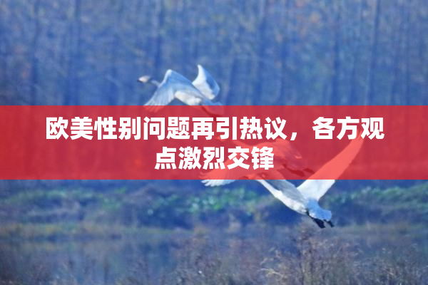欧美性别问题再引热议，各方观点激烈交锋