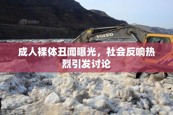 成人裸体丑闻曝光，社会反响热烈引发讨论