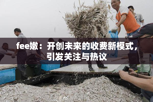 fee嫩：开创未来的收费新模式，引发关注与热议