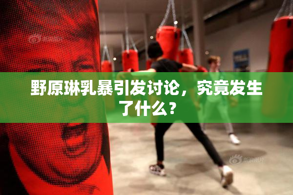 野原琳乳暴引发讨论，究竟发生了什么？