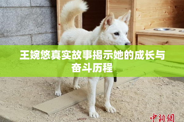 王婉悠真实故事揭示她的成长与奋斗历程
