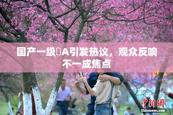 国产一级婬A引发热议，观众反响不一成焦点