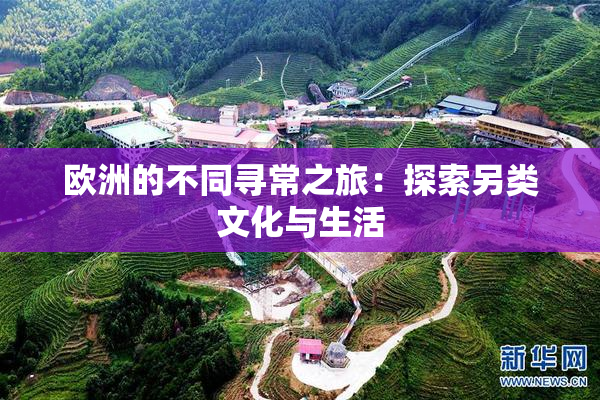 欧洲的不同寻常之旅：探索另类文化与生活