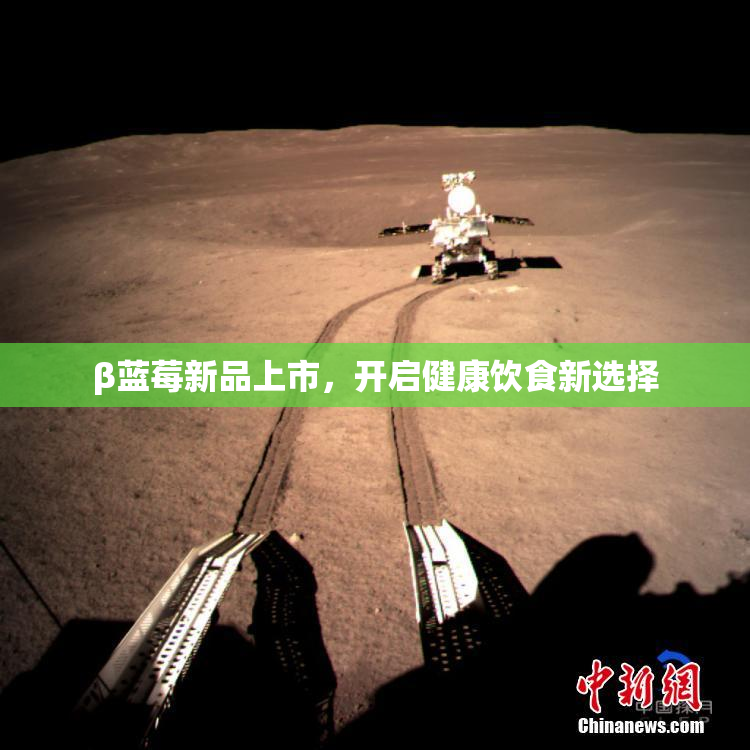 β蓝莓新品上市，开启健康饮食新选择