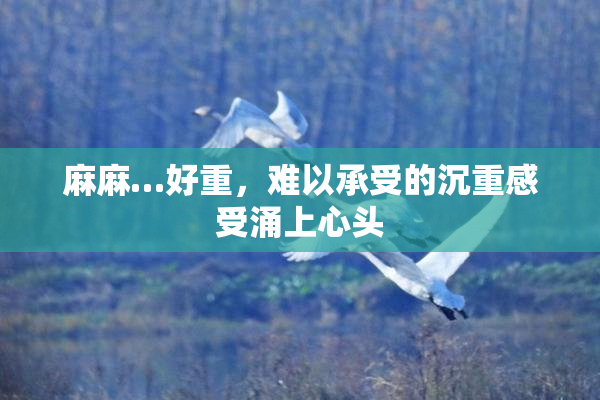 麻麻…好重，难以承受的沉重感受涌上心头