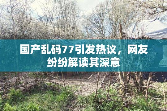 国产乱码77引发热议，网友纷纷解读其深意