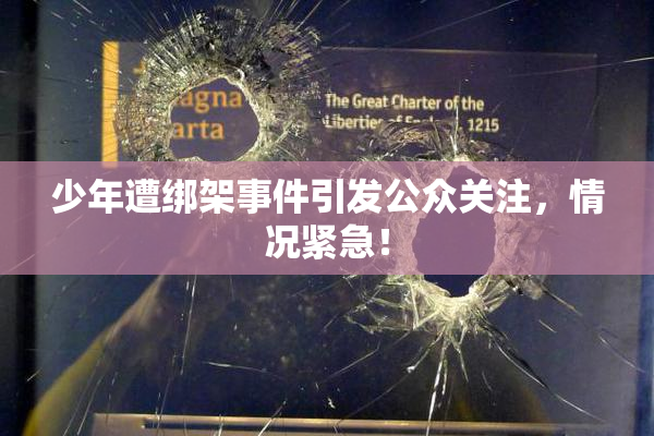 少年遭绑架事件引发公众关注，情况紧急！