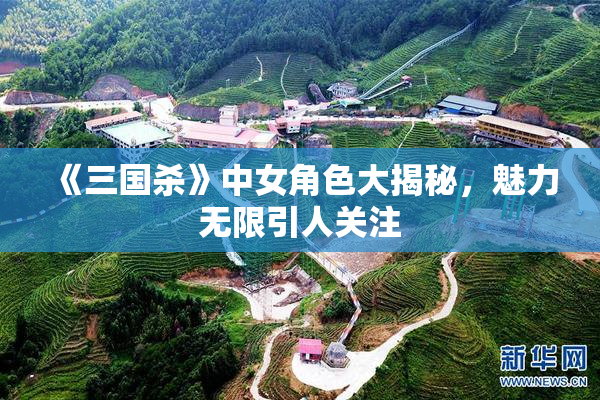 《三国杀》中女角色大揭秘，魅力无限引人关注