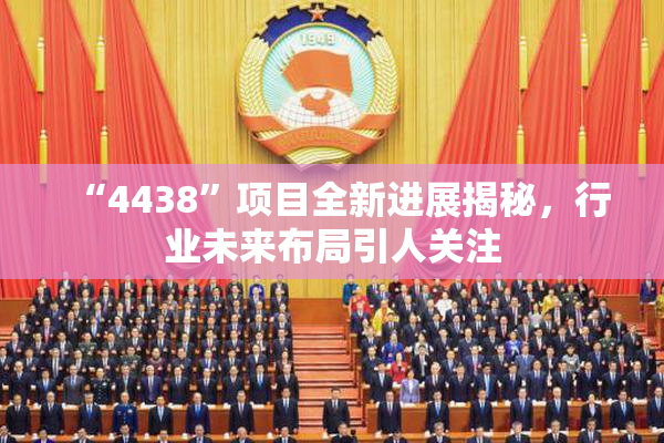 “4438”项目全新进展揭秘，行业未来布局引人关注