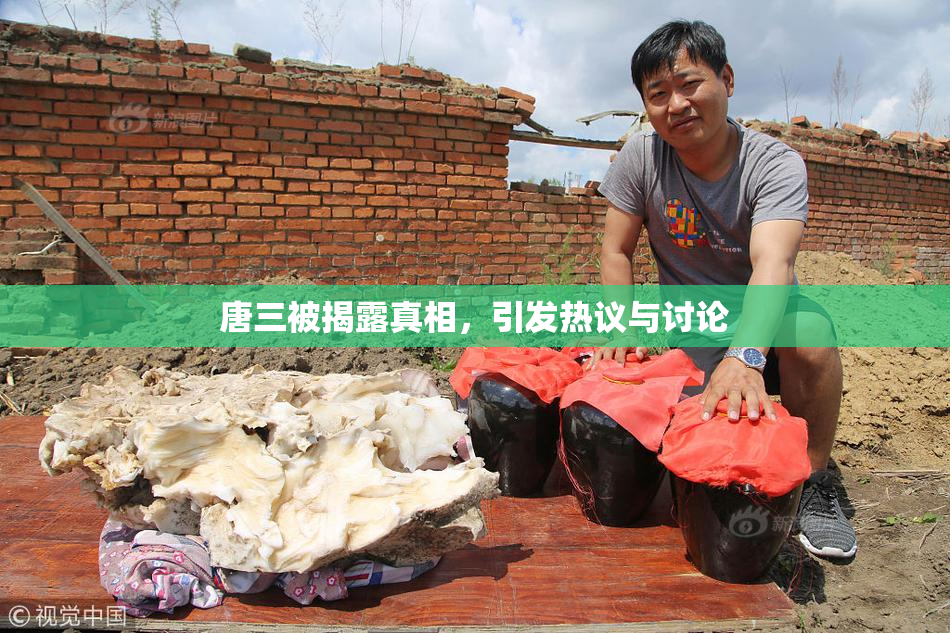 唐三被揭露真相，引发热议与讨论