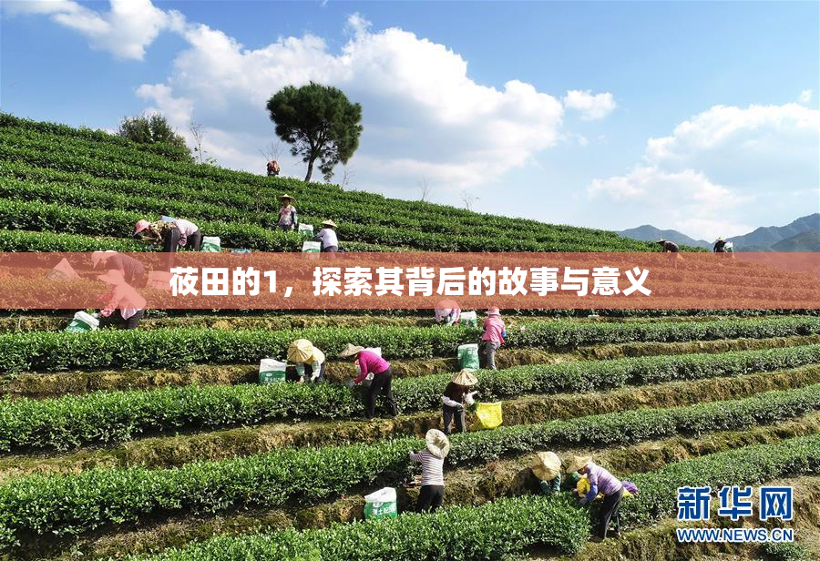 莜田的1，探索其背后的故事与意义
