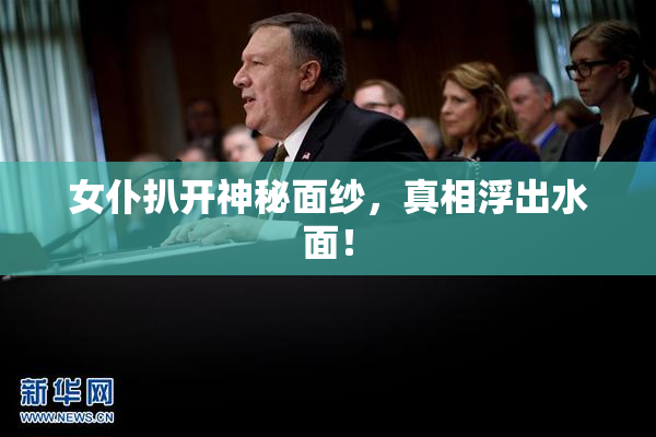 女仆扒开神秘面纱，真相浮出水面！