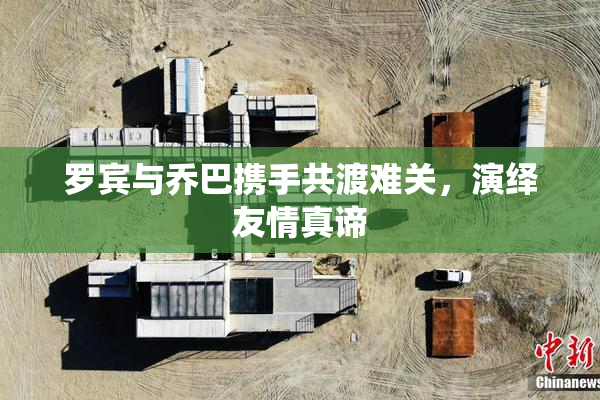 罗宾与乔巴携手共渡难关，演绎友情真谛