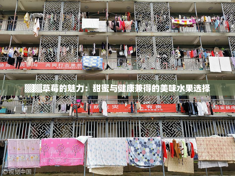 ▓▓草莓的魅力：甜蜜与健康兼得的美味水果选择
