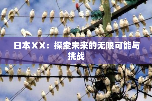 日本ⅩX：探索未来的无限可能与挑战