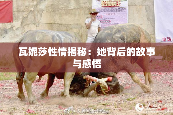 瓦妮莎性情揭秘：她背后的故事与感悟