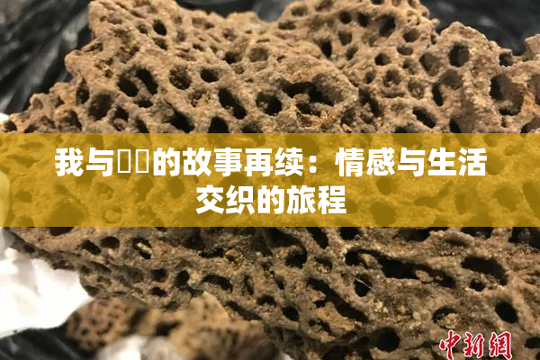 我与妺妺的故事再续：情感与生活交织的旅程