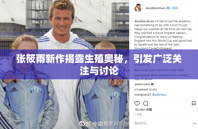 张筱雨新作揭露生殖奥秘，引发广泛关注与讨论