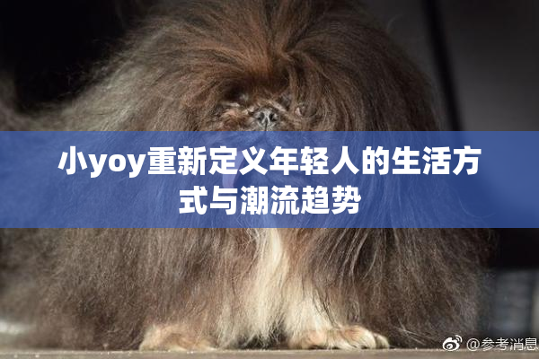 小yoy重新定义年轻人的生活方式与潮流趋势