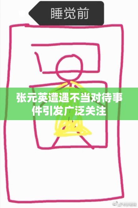 张元英遭遇不当对待事件引发广泛关注